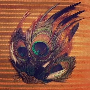 Feather hair fascinator